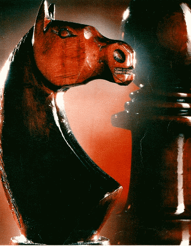 Wooden Chess Knight & Bishop picture taken from the front of �SARGON III� User Manual