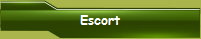 Escort (1995)