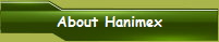 About Hanimex Electronic Chess Computers
