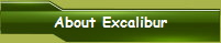 About Excalibur
