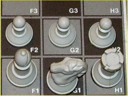 Steinitz Encore Edition (2009) Chessboard Close Up with White Non Magnetic Pieces