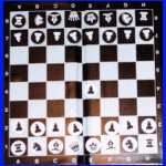 Novag Solo (1987) Magnetic Chessboard