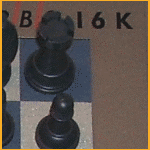 SciSys Kasparov Turbo 16K (1985) Magnetic Pieces
