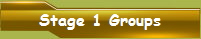 Stage 1 Groups